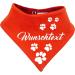 Multicolor Reversible Dog Towel - Red-Orange - Size 4 (Neck 45-52 cm) - Customizable Text | International Shipping Available - Buy Online on SooperMarket.com