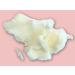 Buy All Natural Organic Lip Balm & Lipstick Base - 3oz | Eco-Friendly & Nourishing - Buy Online on SooperMarket.com