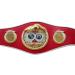 IBF Boxing Championship Belt Replica - Official International Boxing Federation Adult Size - Buy Online on SooperMarket.com