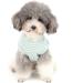 Zunea Striped Dog Shirt for Small Pets - Summer Cotton Tank Top for Dogs & Cats Soft Vest for Chihuahuas - Size L (1 Pack) - Buy Online on SooperMarket.com