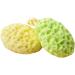 NOLITOY 9 Pcs Natural Exfoliating Bath Sponge Set | Honeycomb Shower Sponges & Face Brushes for Kids | International Shipping - Buy Online on SooperMarket.com