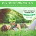 Cat Repellent Treatment Adjustable Cat Repellent Collars Natural Protection Repellent Collar for Cats Water Resistant Repellent Collar for Cats Small-Medium-Large Green 1pack - Buy Online on SooperMarket.com