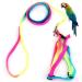 Hypeety Pet Bird Harness and Leash with Buckle Adorable Rainbow Design Safe Parrot Leash Pet Harness Outdoor Adjustable Anti Bite Training Rope for Macaw Large Size Bird (L: 1.5cm 47.24in)