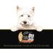 Cesar Simply Crafted Wet Dog Food Chicken Flavour 37g Pack of 10 & Simply Crafted Wet Dog Food Chicken Carrots & Green Beans - Chicken Sweet Potato Apple Barley & Spinach 8x37g Variety Pack - Buy Online on SooperMarket.com