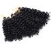Tess Curly Crochet Hair Extensions - Short Water Wave 8 Synthetic Braids | 3 Bundles Natural Black (90g) - Buy Online on SooperMarket.com