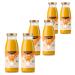 Golden Drink Bio |6 juice shots with turmeric ginger rosehip powder fruit juice puree and selected Ayurvedic herbs |6 x 250ml bottles |From the Achterhof Golden Drink Bio 6 pieces (1 Pack)