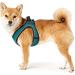 HUNTER HILO COMFORT Harness for Small Dogs - Mesh & Reflective Elements Turquoise ML - International Shipping Available - Buy Online on SooperMarket.com