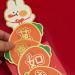 Amosfun 12 Pcs 2023 Red Envelope Lai See Hong Bao Birthday Money Pockets Cash Envelopes Wedding Red Pocket Rabbit Year Red Packets Lucky Money Packets Wedding Money Year Red Envelope Paper - Buy Online on SooperMarket.com