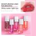 ZARICS Plumping Lip Oil - Raspberry Tinted Lip Balm for Hydrating and Nourishing Lip Care - Buy Online on SooperMarket.com