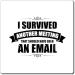 Funny Surviving Another Virtual Office Meetings Statements Novelty Remotely Emailing Working Mockery Sayings Magnets 3" 3" - Buy Online on SooperMarket.com