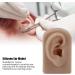 Flexible Brown Right Ear Model for Earrings Display and Acupuncture Training - Buy Online on SooperMarket.com