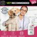 Hemp Active Joint Care Spray | Instant Soothes Muscle & Joint | Quick Absorb | 100% Cruelty Free Vet Recommended | Best For Dogs And Horses | Amazing Essential Oil Embrocation - Buy Online on SooperMarket.com