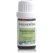 Pranarom Frankincense Essential Oil 5ml | Pure Aromatherapy Oil for Relaxation - Buy Online on SooperMarket.com
