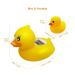 MSNUNA Baby Thermometer & Floating Duck Toy - Safe Bath Temperature Monitor - Buy Online on SooperMarket.com