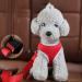 Cuhza Adjustable Dog Seat Belt for Cars - Secure & Comfortable Car Restraint for Small & Large Dogs - Buy Online on SooperMarket.com