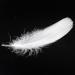 Coceca 500pcs White Feathers - Ideal for DIY Craft, Wedding & Party Decor - Buy Online on SooperMarket.com