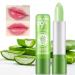 5-Piece Aloe Vera Lipstick Set - Magic Color Change Lip Balm Long-Lasting Moisturizer & Aloe Vera Jelly Makeup - Buy Online on SooperMarket.com