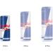 Red Bull Energy Drink 250 ml (24 pack) 250ml (Pack of 24) - Buy Online on SooperMarket.com
