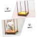 ORFOFE Box Wood Carving Glass Cover clear display stand buddha display stand Display Accessory toy shelf 17x12cm Assorted Color - Buy Online on SooperMarket.com