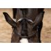 Buy PresTeq FaySport Snaffle Bridle Black Cob - Premium Equestrian Gear for International Shipping - Buy Online on SooperMarket.com