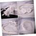 PLAFOPE Pearl Flower Headband Wedding Decor Pearl Headband Decorative Flower Headband Flower Head Band Wedding Hair Accessory Headband Ornament Head Band for Bride Exquisite Hair Band - Buy Online on SooperMarket.com