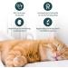 Purapep Comfort Cat Tabs - Natural Sedative with Tryptophan Calcium & B Vitamins for Stress Relief | 120g - Delicious Poultry Flavor - Buy Online on SooperMarket.com