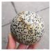 Natural Crystal Rough Ornament Natural Stone Sphere Dalmatian Jasper Crystal Quartz Ball for Gift for Reiki Decoration Gift Decoration feng Shui 1pc (Color : 1pc 60mm)