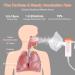 Portable Compressor Nebulizer for Adults & Kids - Personal Steam Inhaler for Breathing Problems - Buy Online on SooperMarket.com