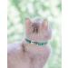 Tagme Turquoise Cat Collar with Personalized Name & Phone Number - Safe Kitten Neck Band with Bell | 1 Pack - Buy Online on SooperMarket.com