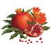 LErbolario Melograno Soap - Natural Pomegranate Fragrance | Buy Online Internationally - Buy Online on SooperMarket.com