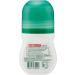 Borotalco Deo Roll On Original Microtalc 50ml (1.69 fl.oz) Pack of 3 - Long-lasting Freshness - Buy Online on SooperMarket.com