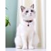 Tagme Cat Collar 2 Pack - Custom Name & Phone Number Safety Clasp & Bell Standard Size 18-31cm Red - International Shipping Available - Buy Online on SooperMarket.com