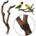 PINVNBY Natural Parrot Perch Stand Wild Grape Stick Toy for Small Birds - 2PCS - Buy Online on SooperMarket.com