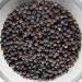 MagJo Naturals Cambodian Memot Black Pepper - 16 oz Whole Peppercorn Bag - Buy Online on SooperMarket.com