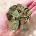 Generic Premium Kinkeliba Leaves 100% Sun Dried Organic Combretum Micranthum 60g - Buy Online on SooperMarket.com