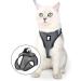 Ultra-Light Cat Dishes & Adjustable Soft Network Vest Jacket for Kittens & Puppies - 1 Pack New Gray - Buy Online on SooperMarket.com
