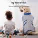 Kuoser Dog Recovery Suit - Post-Op Body for Male & Female Dogs | Breathable Leakage Protection & Anti-Licking | Gray L (1 Pack) - Buy Online on SooperMarket.com