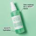 Facial Spray W/Aloe & Green Tea Hydrating Face Mist Moisturiser Aloe Vera Face Toner for Dry Skin Makeup Setting Spray for Face Soothing Face Spray Refresh & Repair 3.4 Fl Oz - Buy Online on SooperMarket.com