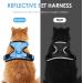 Breakproof Cat Dishes & Adjustable Soft Kitten Vest Set - Light Blue XS | Reflective Stripes for Safety - Buy Online on SooperMarket.com