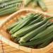 Pure Okra Powder - 100% Natural Okra Meal Flour, Non-GMO, No Fillers or Additives - 100g/3.25oz - Buy Online on SooperMarket.com