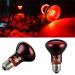 POFET 2pcs Reptile Heating Bulbs Durable Infrared Heat Lamp Warming Light Bulb Red Pet Light for Reptile and Amphibian Lizard Tortoise Spider Snake Chameleon 220-240V(100W) - Buy Online on SooperMarket.com