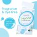 Beyond Laundry Detergent Strips - Eco-Friendly Hypoallergenic & Travel-Friendly | 32 Dissolvable Strips - Free & Clear - Buy Online on SooperMarket.com