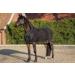 Shop HKM Fly Rug - Multicoloured 145 cm | Premium International Shipping - Buy Online on SooperMarket.com