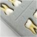 Dental Model - Teeth Model - 28 Pieces Two-Tone Permanent Teeth Study Analysis Demonstration Teeth - Buy Online on SooperMarket.com