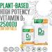 Benemax Vitamin D3 2500 IU For Healthy Bones Teeth and Helps Prevent Vitamin D Deficiency Plant Based & Vegan 180 Day Supply - Buy Online on SooperMarket.com