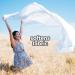 HOME VICTORY Outdoor Scented Dryer Sheets - 480 Count Fabric Softener Sheets - Reduces Wrinkles, Controls Static, Softens Fabric - Pack of 1 - Buy Online on SooperMarket.com