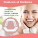 Natural Shade Fake Teeth Veneers Set for Upper and Lower Jaw 6pcs Cosmetic Dentures for Christmas and Daily Use - Buy Online on SooperMarket.com