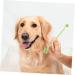 GANAZONO 3 Sets Pet Toothbrush Toothpaste for Dogs Green Dog Toothbrush Pet Mouth Cleaning Tool Tools Pp - Buy Online on SooperMarket.com