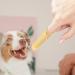 JISADER Pet Oral Care Finger Brush for Dogs and Cats - Gentle Tool Yellow - Buy Online on SooperMarket.com
