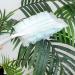 Fluffy Duster Refills Hand Duster Refills Replacement Duster Heads Duster Refill Heads 10pcs - Buy Online on SooperMarket.com